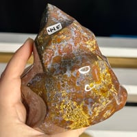 Image 2 of Ocean Jasper Flame (44F)