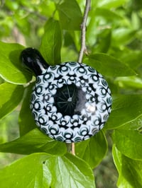 Image 5 of Floating Lotus