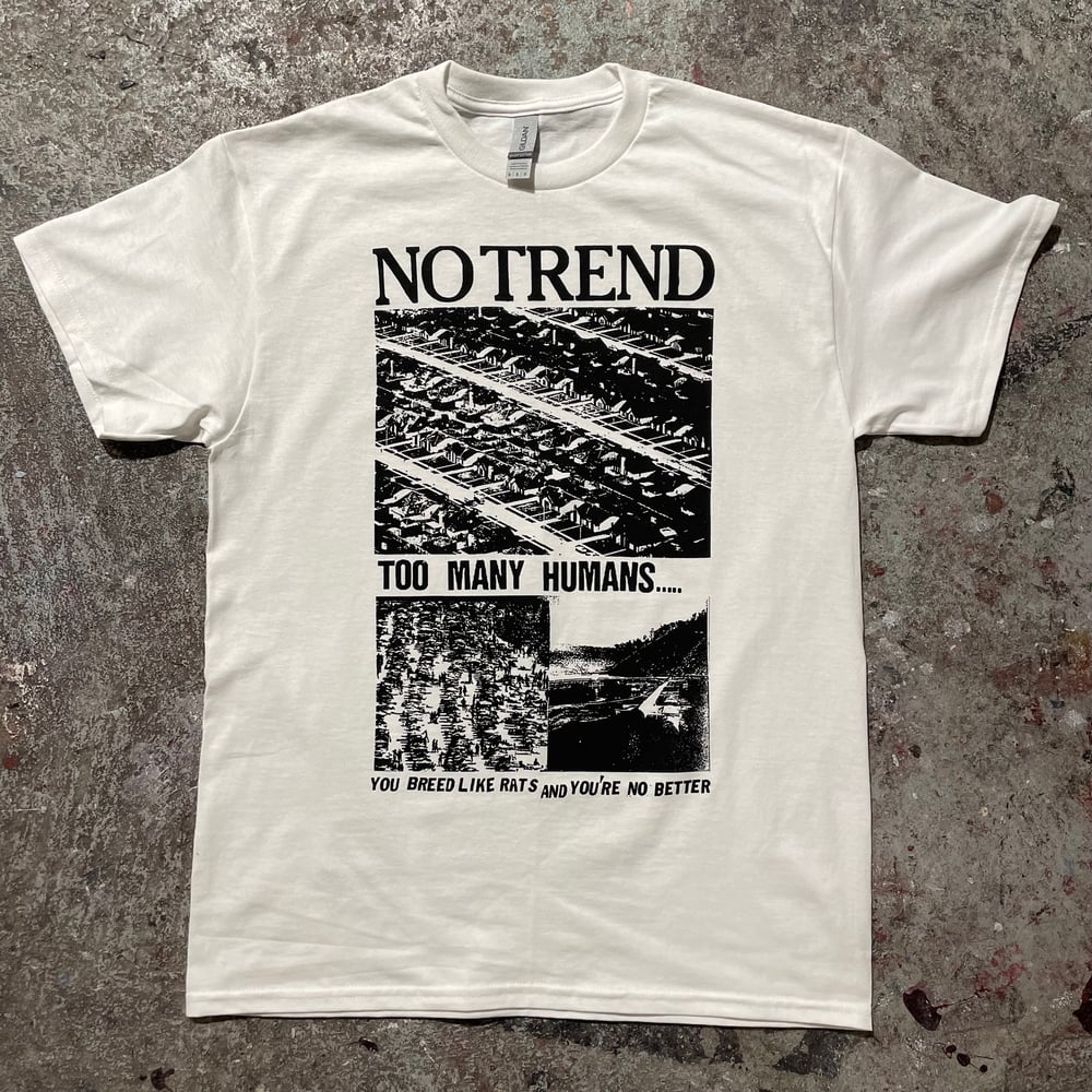 No Trend