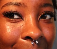 Image 2 of Diamond Septum