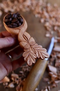Image 6 of Oak and Acorn~ Coffee Scoop 
