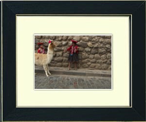Image of framed print of original photograph - girl with llama