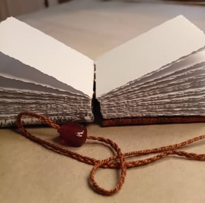 HOZAN — mini livre