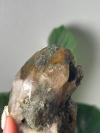 Image 4 of XL HALF POLISHED HIMALAYAN RUTILE IN QUARTZ CLUSTER E