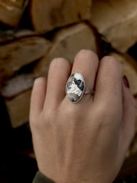 Image 1 of Oval White Buffalo