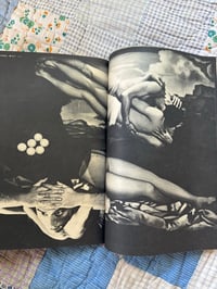 Image 7 of Weekly Sankei 'Mishima's Last Scream' With flexi disk