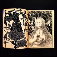 Image 3 of Featured Story 1971 #3