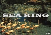Image of Sea King - Sonic Substance Cassette