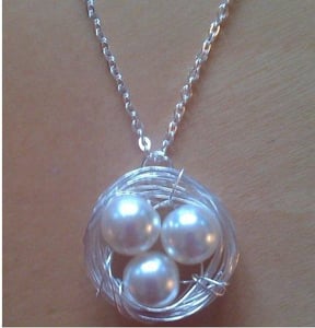 Image of Birds Nest Necklace