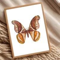 Image 2 of Rhescyntis pseudomartii moth PRINT