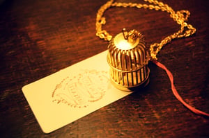 Image of Golden Bird Cage necklace