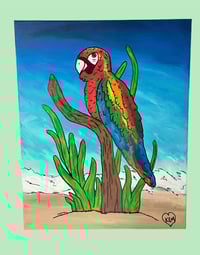 Parrot Bay