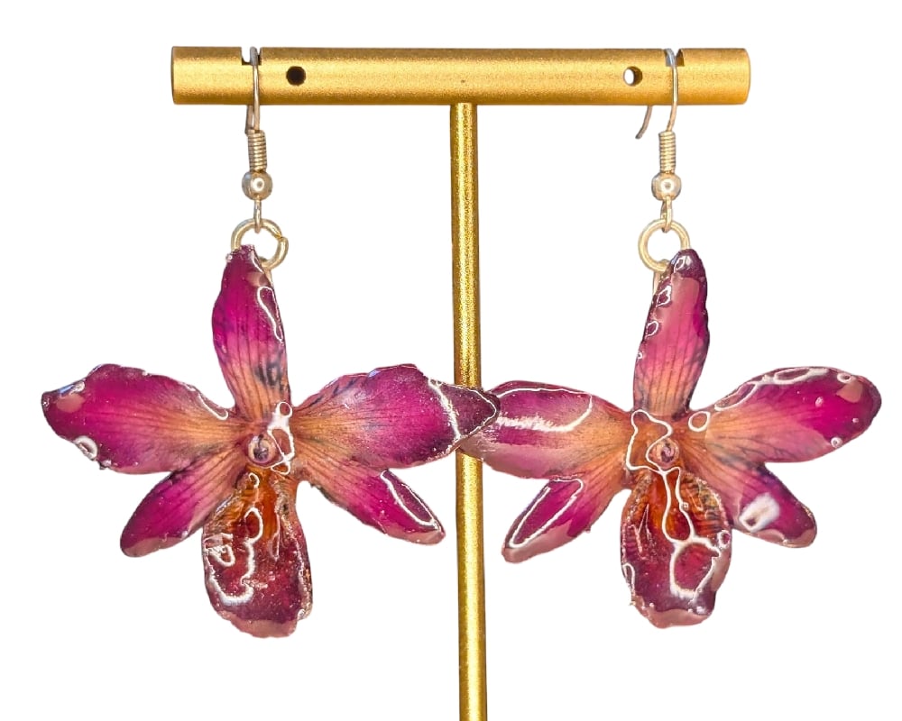 Image of Dendrobium Hybrid Earrings