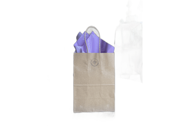 Bee Nourished Gift Bag and Tissue