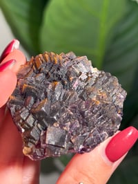 Image 3 of NATURAL RAINBOW IRIDESCENT CUBIC FLUORITE -CHINA- K