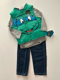 Image 1 of TMNT Set