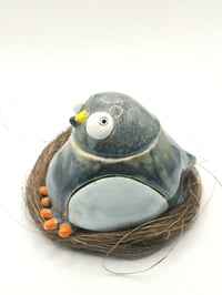 Image 4 of Pigeon 6