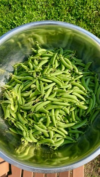Image 2 of Freeze Dried Sugar Snap Peas