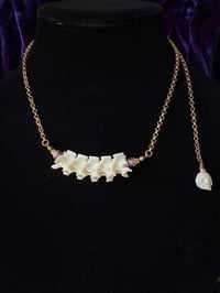 Image 4 of Articulated Snake Vertebrae - Snecklace