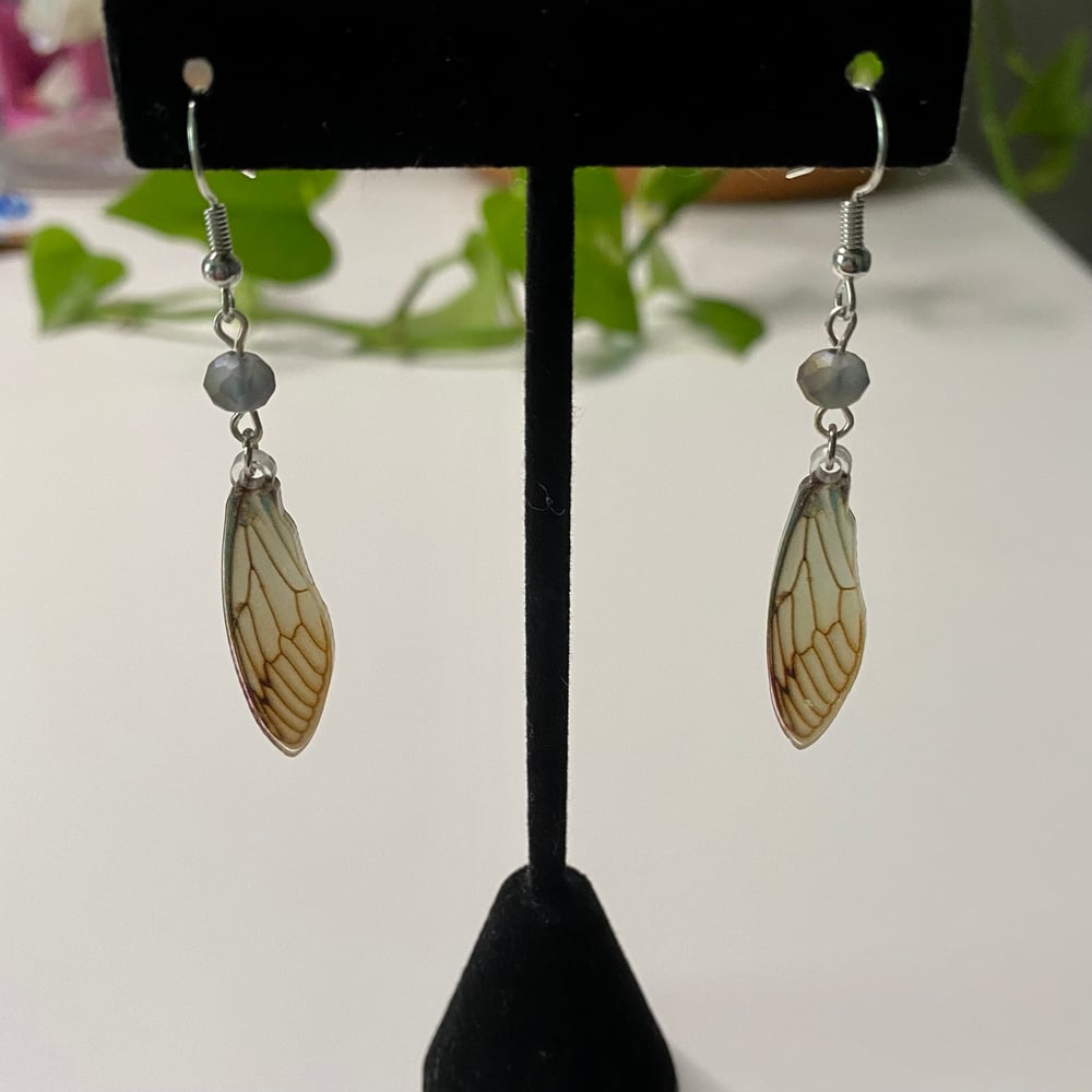 Image of fairy wing earrings