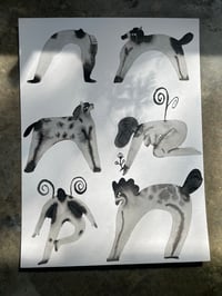 Devils horses - fine art print