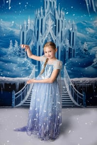 Image 3 of Frozen Mini Sessions 