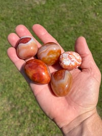 Image 7 of Carnelian Polished Agate 5 Piece Lot #2230