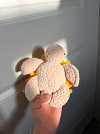 Image 4 of Sunflower Turtle