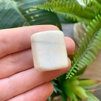 Image 2 of Scolicite Tumble