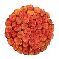 Image 4 of 100 Count Roses w/ Glass Vase