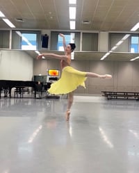Image 8 of  Chiffon Rehearsal Circle skirt 3