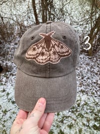 Image 4 of Patchy Caps