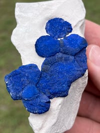 Image 3 of Azurite Suns On Matrix Specimen #2609