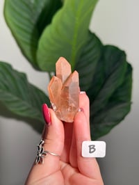 Image 2 of CHOOSE YOUR OWN NATURAL (UNPOLISHED) QUARTZ POINT -BRAZIL-