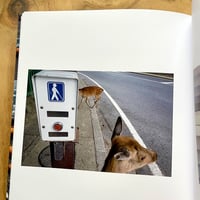 Image 5 of Chris Meirick - You’re Dead To Me 