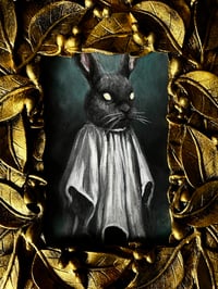 Image 3 of Conejo fantasma 