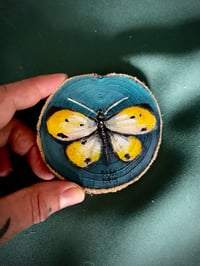 Image 5 of Posavasos