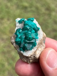 Image 11 of Dioptase Specimen | Congo #3011