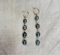 Image 2 of Larmes de l’huître