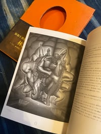 Image 4 of Yoshifumi Hayashi - La Jeune Mariee D'un Materialiste Enceinte De Cerveaux, 1994