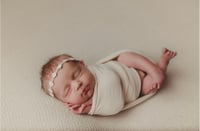 Image 3 of Dainty Daisy - cream