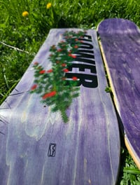 Image 3 of Rose Shrub Board Purple