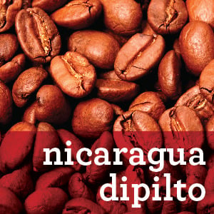 Image of Nicaragua Dipilto