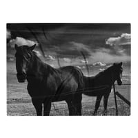 Image 2 of Soft Throw Blanket Ponies from Murdo #1