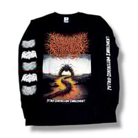 Image 4 of DESECRATED EXTINCTION - Putrid Cerebellum Engulfment