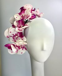 Image 1 of Pink & white orchids