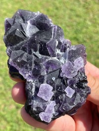 Image 17 of Purple Cubic Fluorite Specimen #1614
