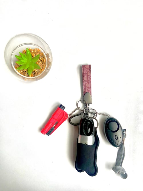 Image of Red Dior inspired practical set