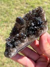 Image 2 of Smoky Quartz Crystal Points Cluster | Brazil #2971