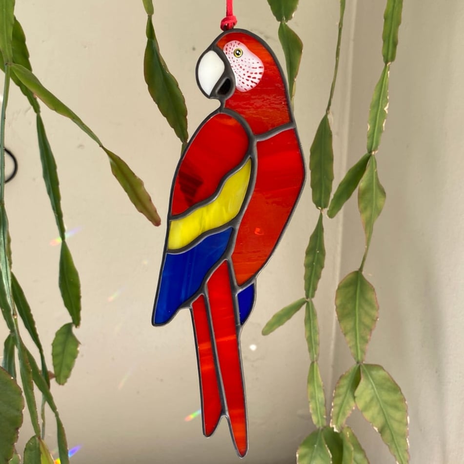 Image of Scarlet Macaw